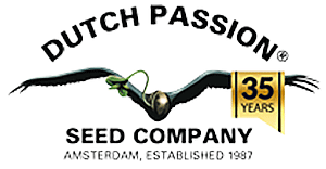 Dutch Passion seed company