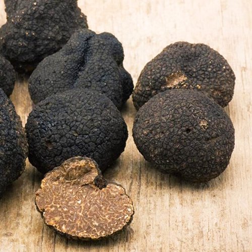 zwarte truffel