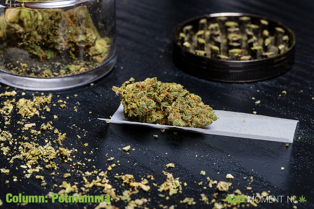 Is cannabis een gateway-drug?