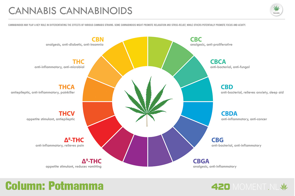 Wat zijn cannabinoïden en cannabis bereidingsvormen