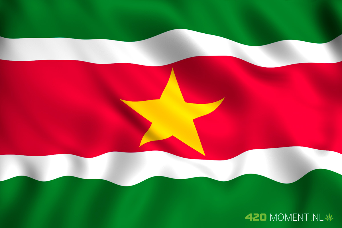 Suriname installeert werkgroep Implementatie Industriële Hennepteelt