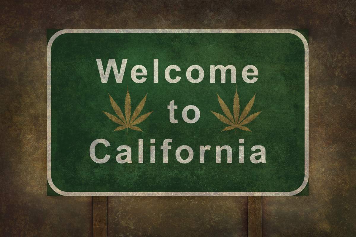 Cannabis legaal - Welcome to California