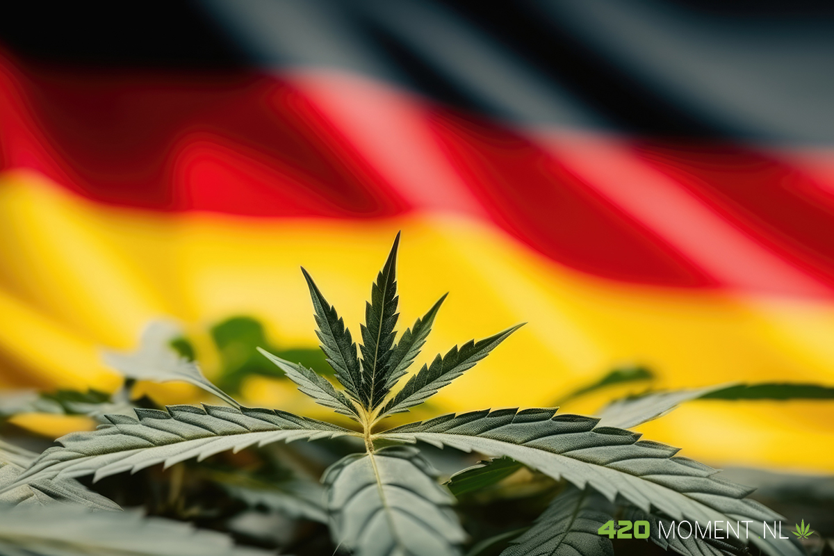 Duitsland legaliseert wiet en gaat daarmee Nederland voorbij