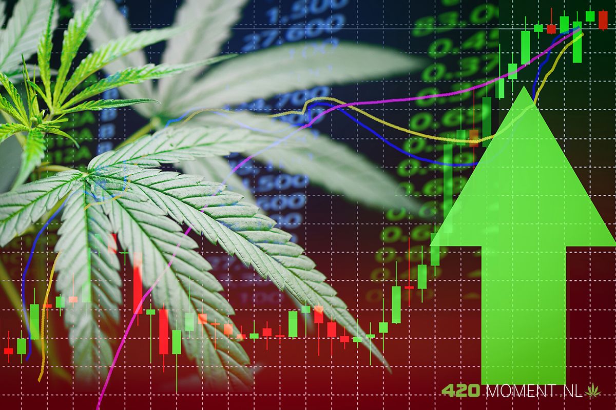 Geld verdienen op de beurs met cannabis aandelen